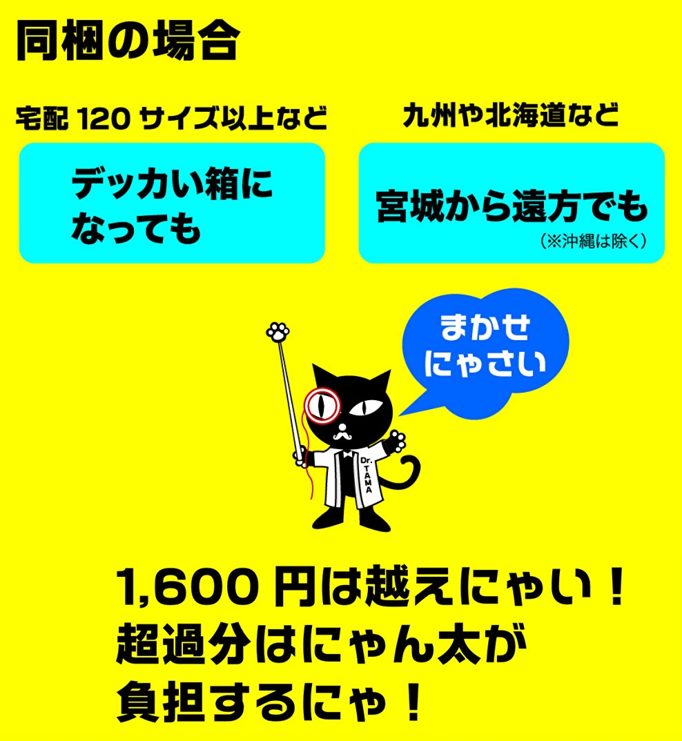 にゃん太通販