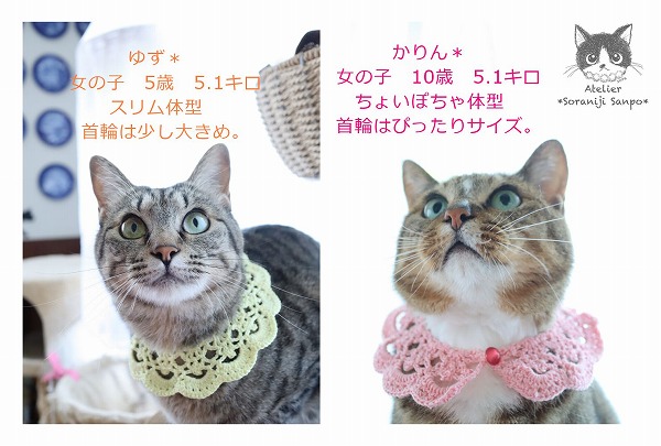 にゃん太通販
