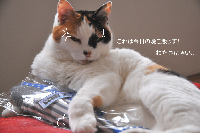 キャットニップキッカー