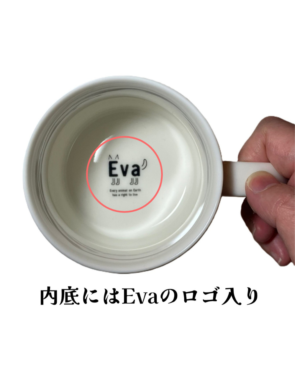 ネットdeにゃっ展
