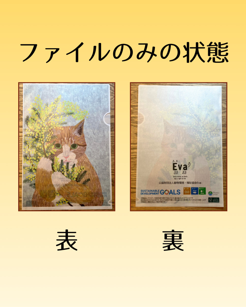 ネットdeにゃっ展