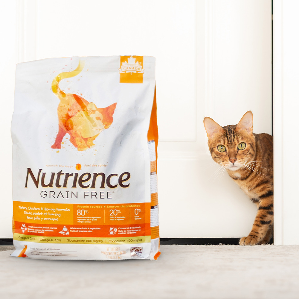 Nutrience