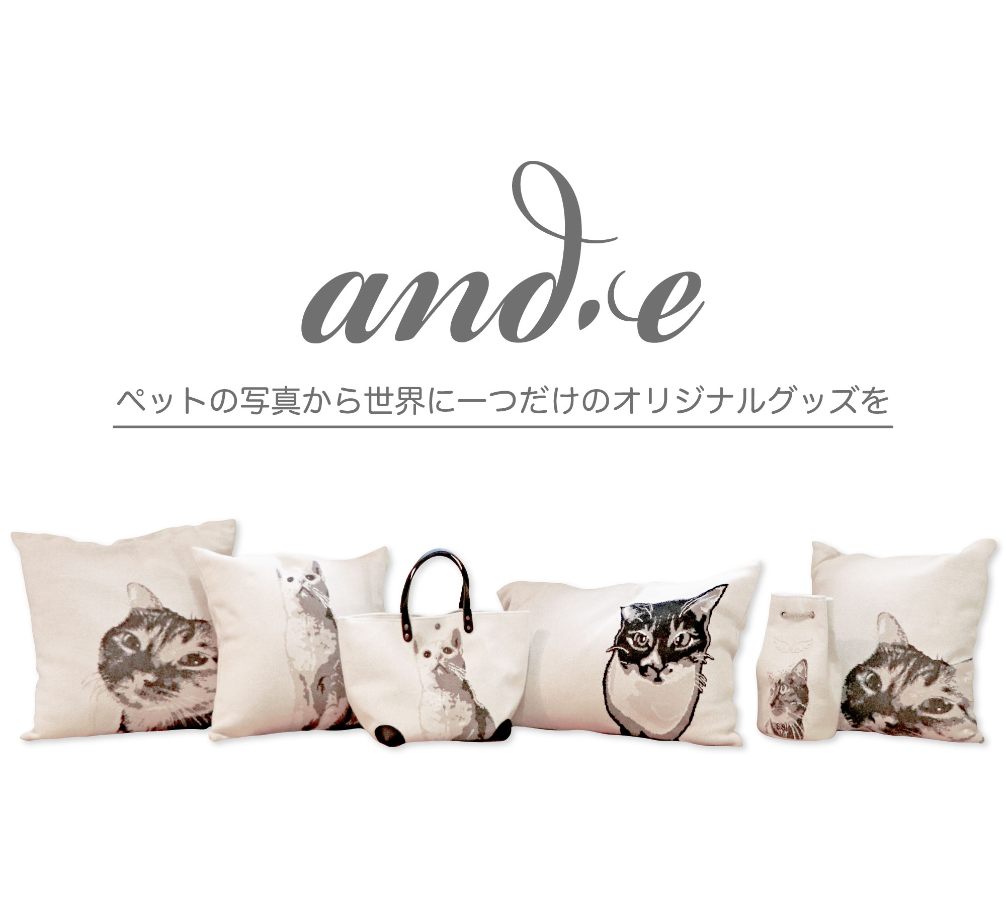 ande作品1