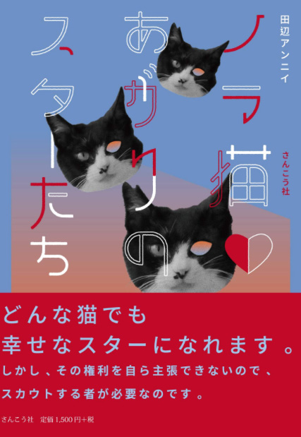 ノラ猫あがりのスターたち