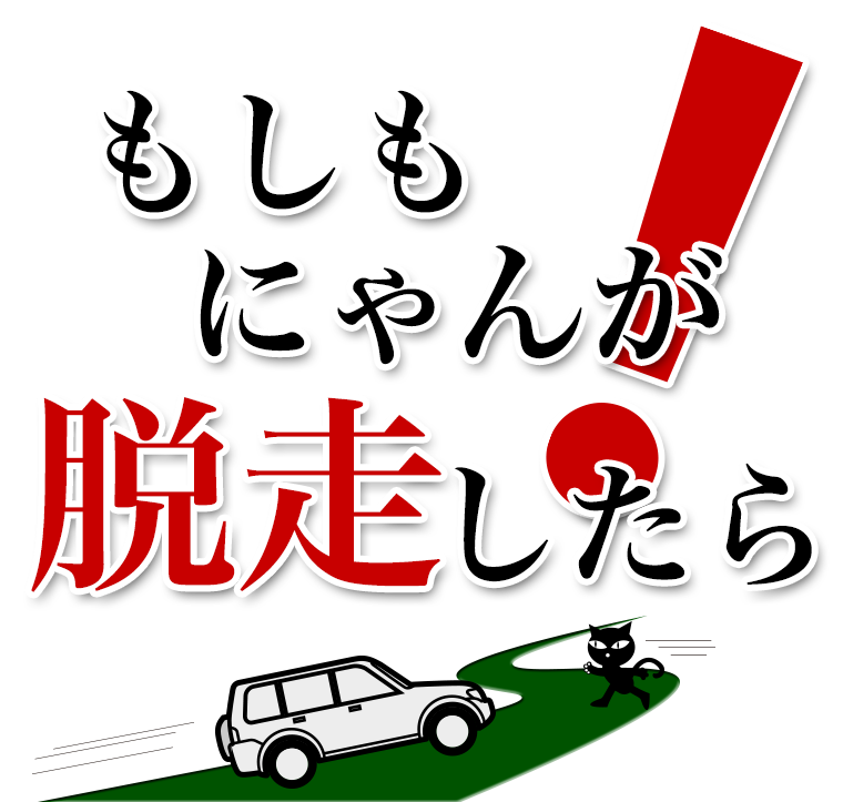 もしも猫が脱走したら・・・