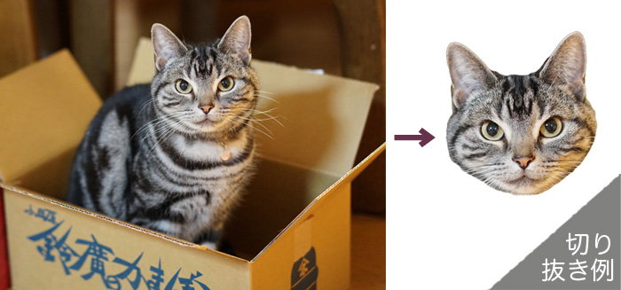k*neko猫ちゃん用迷子札
