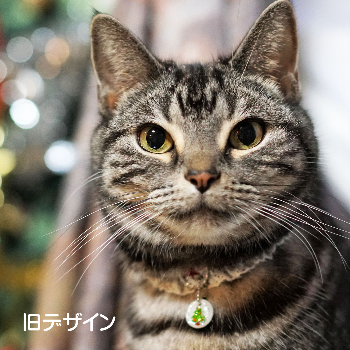 k*neko猫ちゃん用迷子札