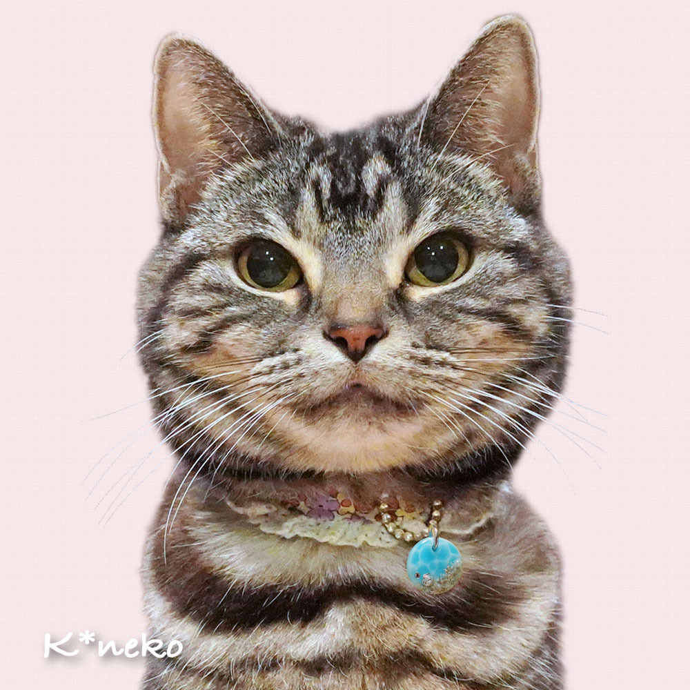 k*neko猫ちゃん用迷子札