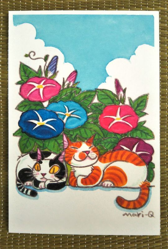 猫ポストカード