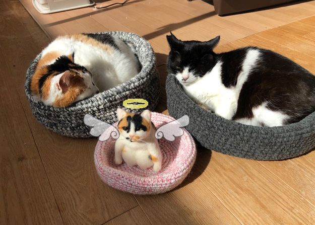 ミニチュア