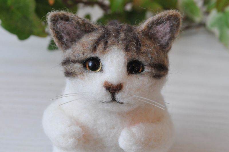 羊毛ねこ
