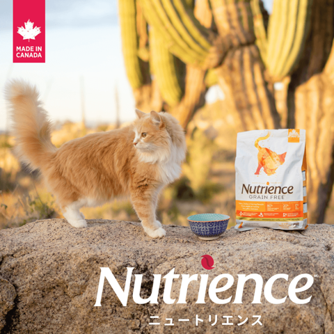 Nutrienceニュートリエンス