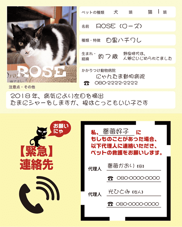 Tommy hana