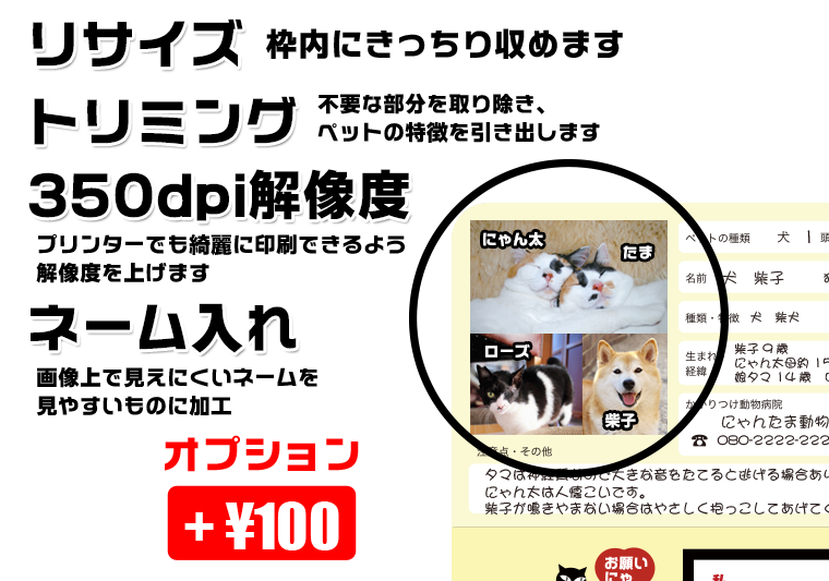 画像処理・名前をいれます