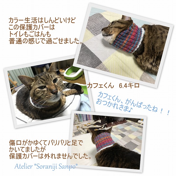 猫の首輪