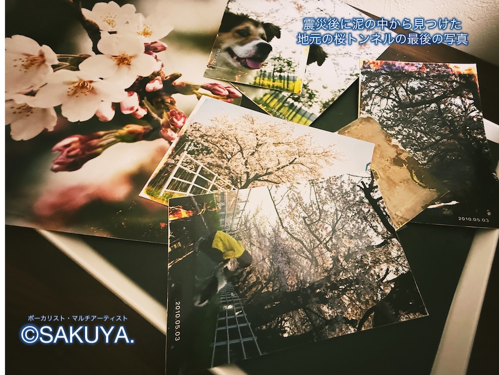 SAKUYA.