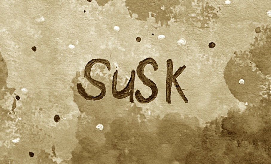 susk作品1
